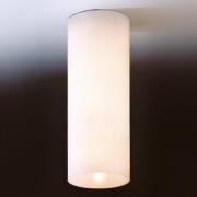 Eenvoudige plafondlamp DELA van wit glas