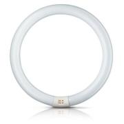 Philips Ronde G10q-tl-lamp Master Circular TL-E, 32W 840