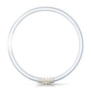 Philips 2GX13-ring-tl-lamp Master TL5 van 60W, 840