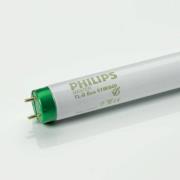 Philips G13 T8-TL-D-lamp Master Eco van 32W, 865