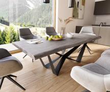 DELIFE Eettafel Edge 220x100 XL acacia platina  Spider staal  zwart  L...