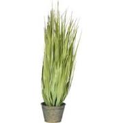 J-line - Grassen Wild In Pot Metaal Groen Plastiek Groen Small - 32x32...