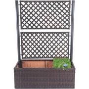 Cosmo Casa  Poly - Rattan Klimrek - Plantenbak Klimhulp - 142x100x43cm...