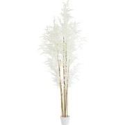 Light & Living - Pot BAMBOO - 70x60x180cm - Bruin