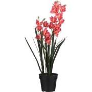 Mica Decorations Cymbidium Kunstplant - H92 x Ø19 cm - Pot - Roze