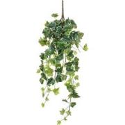 Mica Decorations Hedera Kunst Hangplant - H71 cm - Groen Bont