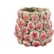 PTMD Bloempot Fruitsy - 25x25x23 cm - Terracotta - Rood