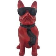 Beeld Franse Bulldog Bril Rood