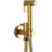 Bidetdouche of toiletdouche Grifo met stopkraan en slang 120 cm goud g...