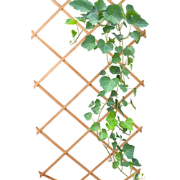 HIXA Klimrek Planten - Uitschuifbaar - Trellis - Hout - Tuinlatwerk - ...