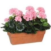 Mica Decorations geranium roze in balkonbak terra maat in cm: 39x13x40