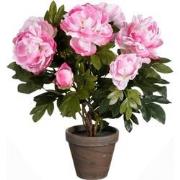 Mica Decorations Peony Kunstbloem - 38x38x50 cm - Polyester - Roze