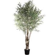 PTMD Bloempot Tree - 140x140x265 cm - Plastic - Groen