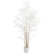 Light&living Ornament in pot 70x60x120 cm BAMBOO naturel+crème