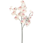 Roze en witte phalaenopsis kunstorchideestam H66