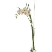 Kunstmatige water illusie orchidee crème H60