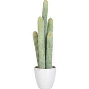 J-line - Cactus 5delig Licht Groen - 23x16x52.5cm