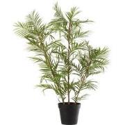 J-line - Bergpalm In Pot Plastiek Groen/zwart Large - 60x31x114cm