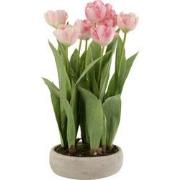 J-line - Tulpen In Pot Cement Grijs Plastiek Roze/groen - 34x31x49cm