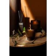 PTMD - Woody Bouquet Fragrance candle + sticks