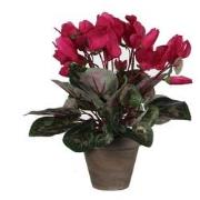 Mica Decorations Cyclaam Kunstplant in Bloempot Stan - H30 x Ø30 cm - ...