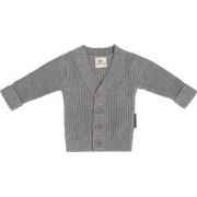 Baby's Only Vestje Soul - Grijs - 56 - 100% ecologisch katoen