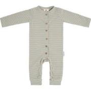 Baby's Only Boxpakje Stripe - Urban Green - 68 - 95% ecologisch katoen...