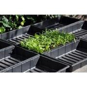 Seed tray 37,5 x 23 x 6 cm - set a 12