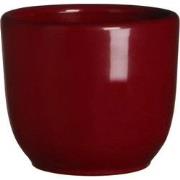 5 stuks - Bloempot Pot rond tusca 6.5 x 7.5 cm d.rood Mica