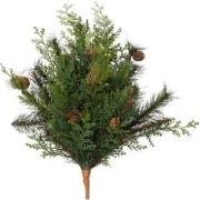 Cypress tak b20h50 cm groen