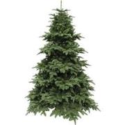 Nordmann kunstkerstboom deluxe abies groen h215 d155 cm