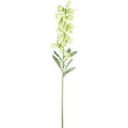 PTMD Kunstbloem Fritillaria - 45x22x89 cm - Plastic - Groen