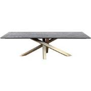 PTMD Alore Brown Gold Diningtable Rectangle  280 Cm