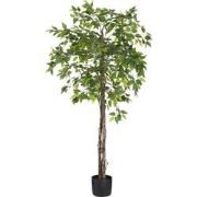 Mica Decorations Ficus Kunstplant in Bloempot - H150 x Ø50 cm - Groen