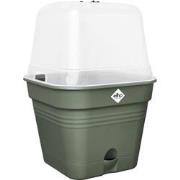 Green basics kweekpot vierk. allin1 15cm blad groen