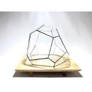 URBANJNGL - Geometrisch Terrarium - Torno - Vivarium - ? 28 x 26 x 24 ...