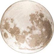 Zuiver Moon Buiten Vloerkleed Rond '280 Beige