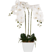 Beliani ONCIDIUM ORCHID - Kunstplant-Groen-Synthetisch materiaal