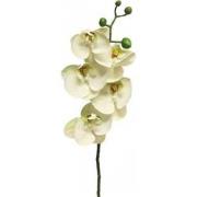 Kunst Phalaenopsis Orchidee Bora 58 cm - Wit