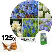 Bulb Garden Blue - 125x Bloembollen Mix - Voor Tuin, Terras of Balkon