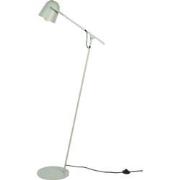 Zuiver Lau Vloerlamp/ Staande leeslamp Salie Groen