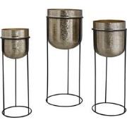 PTMD Brush Gold Alu Sheet Round Pot In Iron Frame SV3