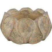 PTMD Waxy Brown Cement Pot Wavy Rib Pattern Round Low L