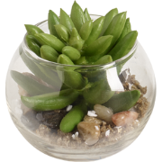 Succulente echeveria in rond terrarium kunstgroen H8