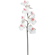 Witte kunstmatige phalaenopsis orchideestengel H50