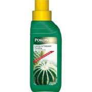 2 stuks - Cactus & Vetplant 250ml