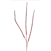 Kunst Horsetail spray x3 red 115 cm