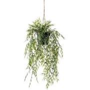 Hangplant met pot 1