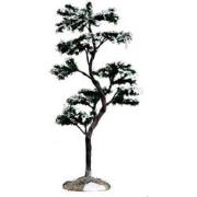 Marcescent tree, large