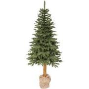 Tiaga fir d122h270 cm groen